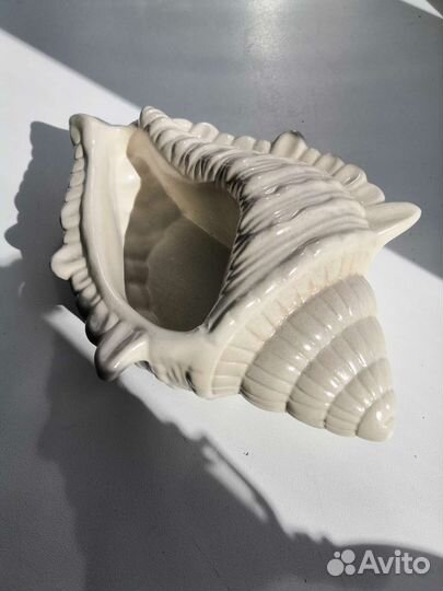 Декоративная ракушка