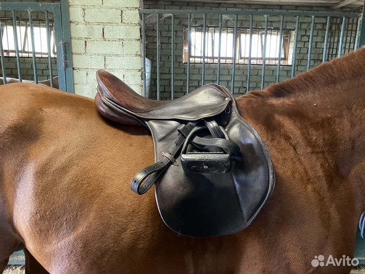 Конкурное седло