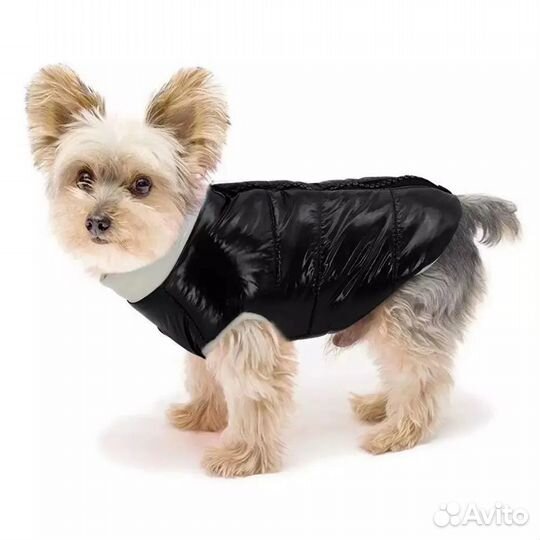 Одежда для собак новая, куртка для собаки