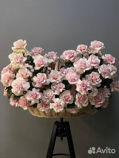 99 кубинских роз в корзине