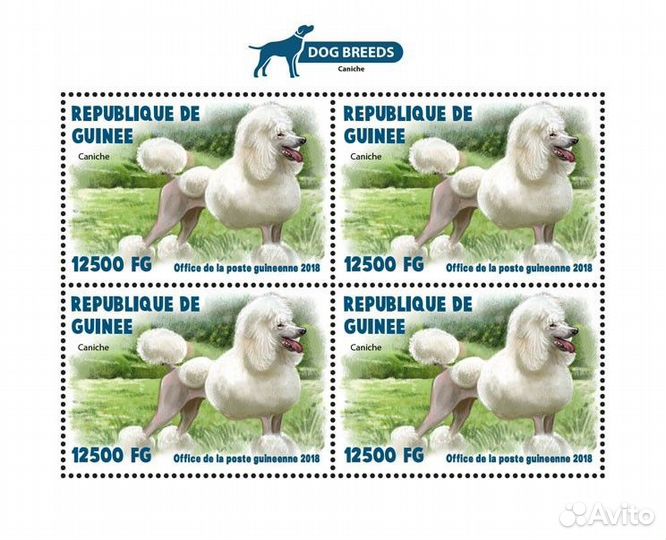 Гвинея, 2018. (gu18429) Фауна, собаки (мл+блок)