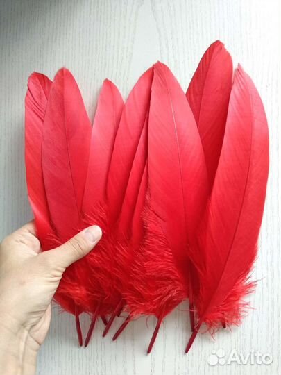 Красивые перья для творчества и рукоделия