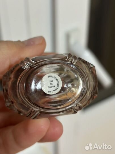 Hugo boss the scent intense