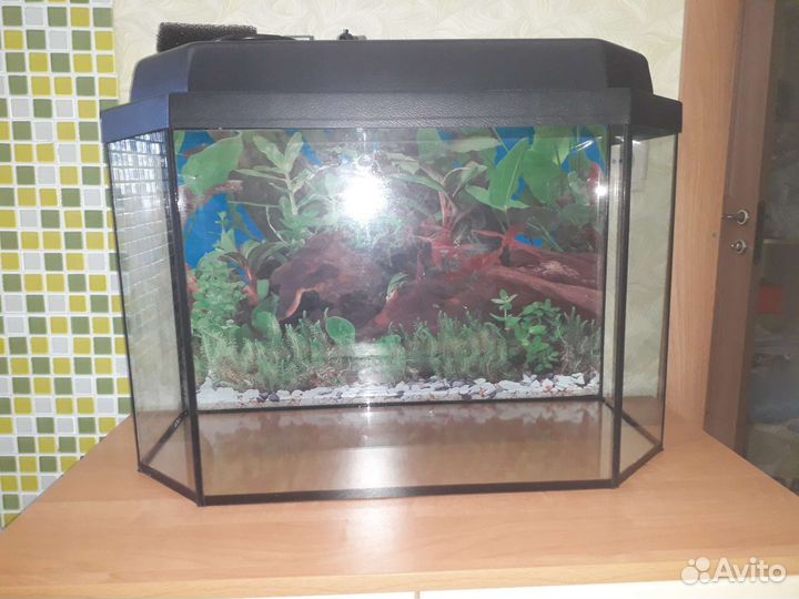 Аквариум