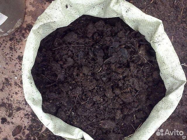 Навоз Перегной Коровий Говяжий