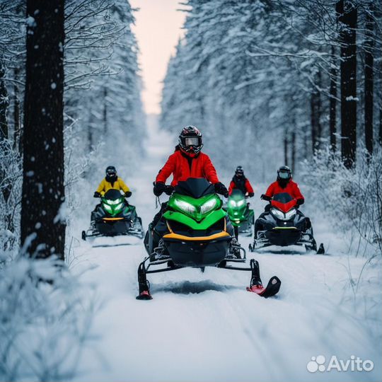 Прокат, аренда квадроциклов, багги