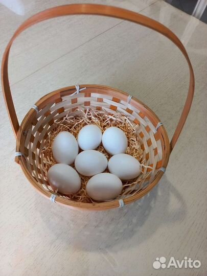 Яйцо куриное домашнее деревенское