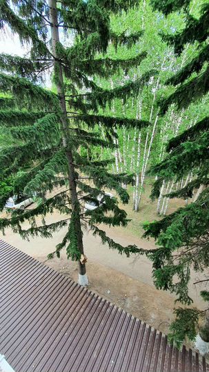 Апартаменты-студия, 19 м², 3/4 эт.