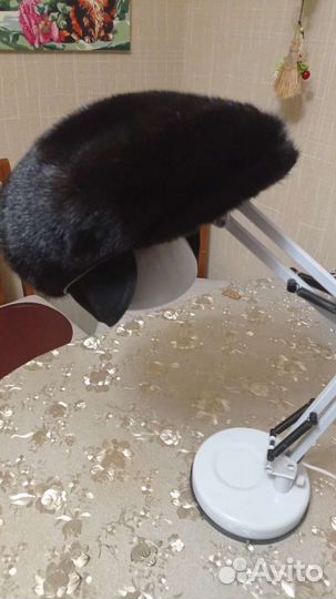 Мужская норковая кепка