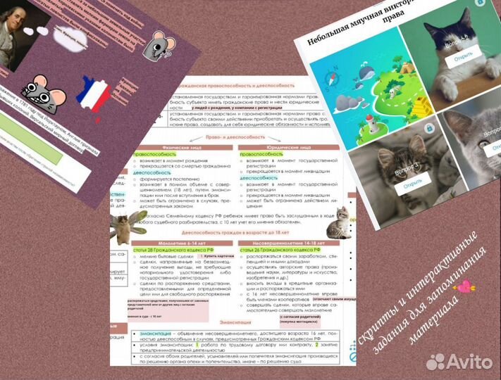 Репетитор по обществознанию и истории ОГЭ ЕГЭ