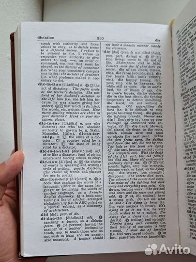 Учебный словарь современного английского языка