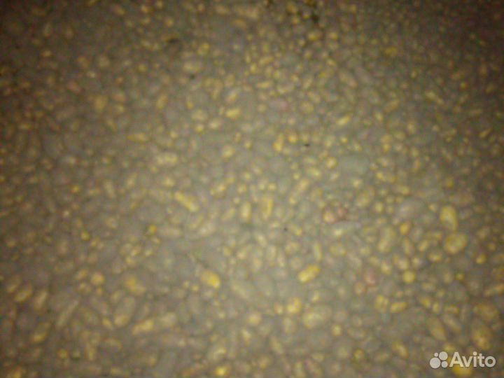 Домашний картофель