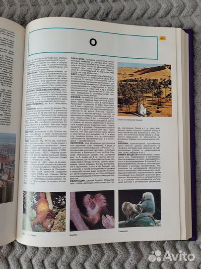 Детская энциклопедия