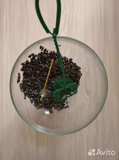 Аквариум 7 литров