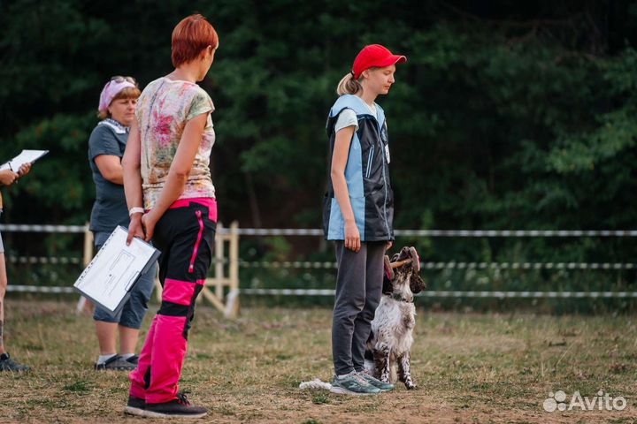 Дрессировка и воспитание собак