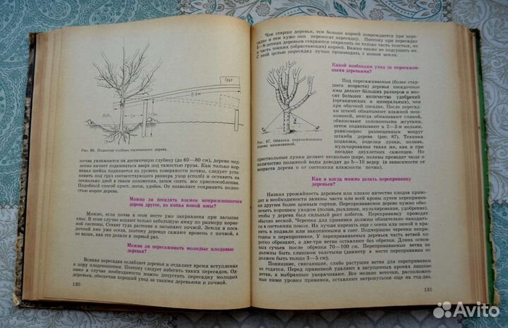 Книга Азбука садовода в вопросах и ответах