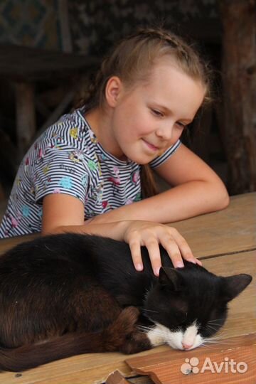 Фотограф, обработка фотографий