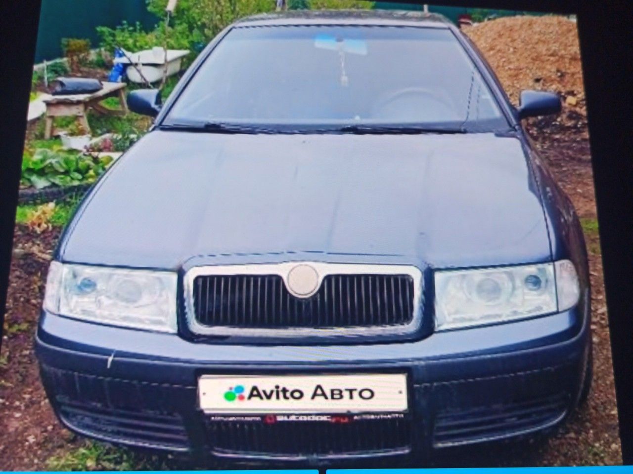 Skoda Octavia: фото владельца