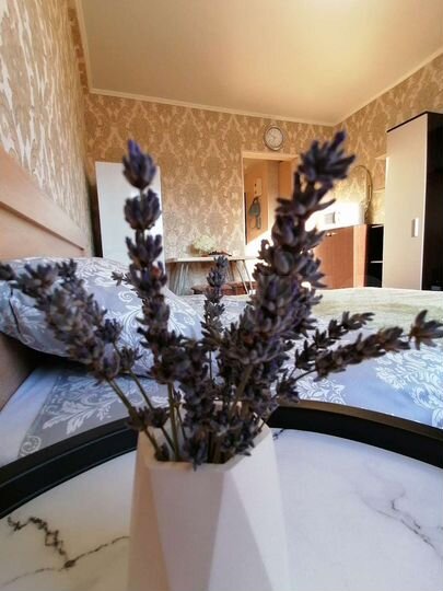 Квартира-студия, 18 м², 4/8 эт.