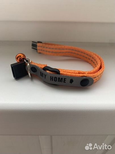 Ошейник для маленьких собак
