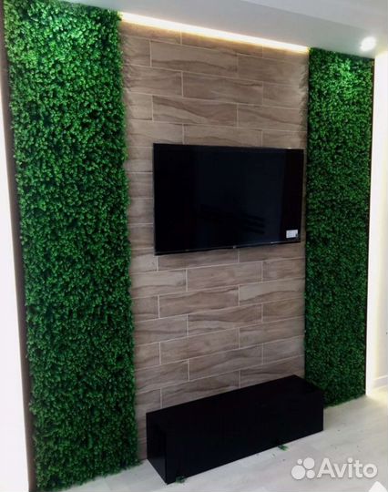 Стены, картины из стабилизированного мха