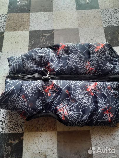 Одежда для маленьких пород собак