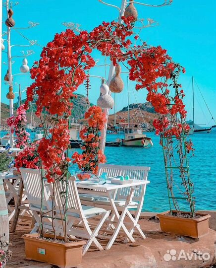 Туры в Бодрум в августе