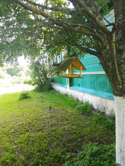 Дом 54 м² на участке 40 сот.