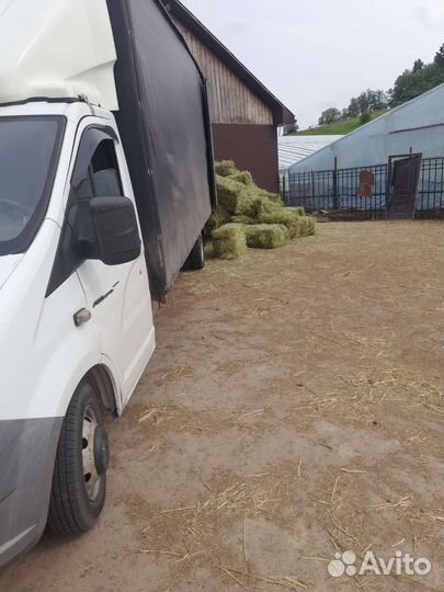 Сено луговое в тюках