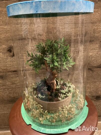 Бонсаи искуственные