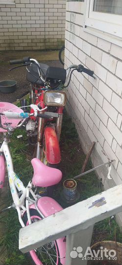 Мопед динго без доков 72 куб