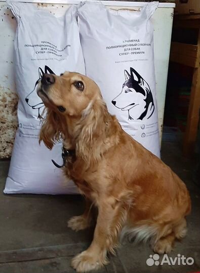 Сухой корм для собак