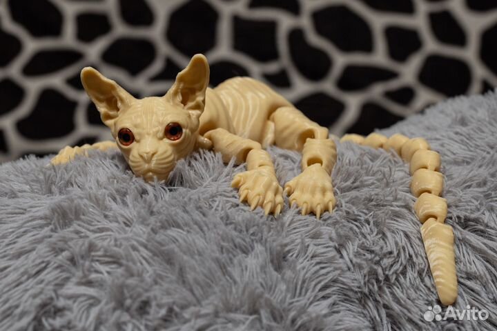 Подвижный котенок сфинкс с 