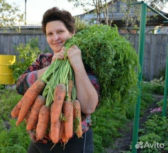 Натуральные удобрения без химии