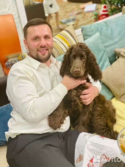 Грузоперевозки Курск по России