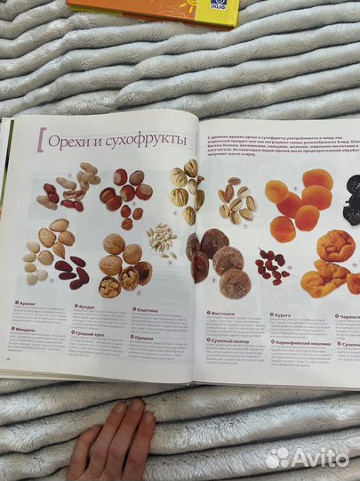 Книга Средиземноморская кухня