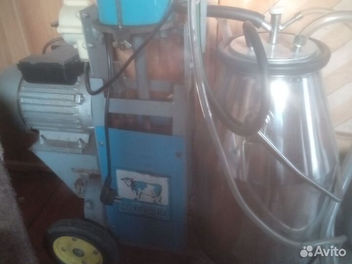 Доильный аппарат для коров