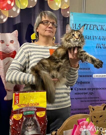 Мейн-кун f22 Астория, серт.N/N, (jcac)