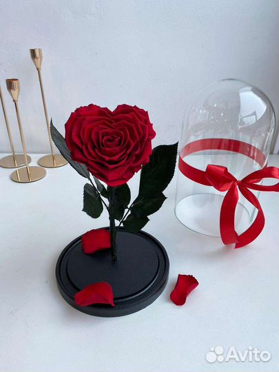 Подарок девушке на день рождения