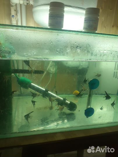 Аквариум
