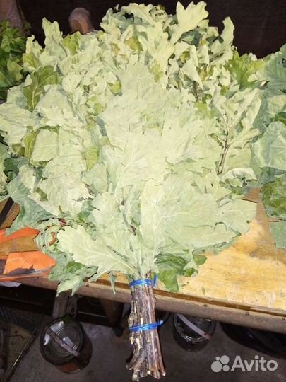 Веники для бани