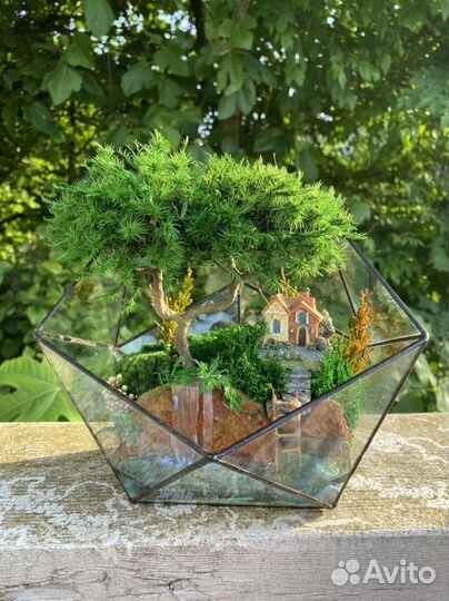 Флорариум Цветы Подарок