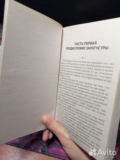 Фридрих Ницше, 