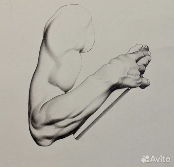 Уроки рисования