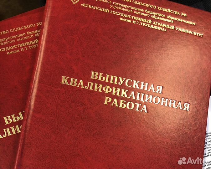Юриспруденция. Курсовая, дипломная, магистерская