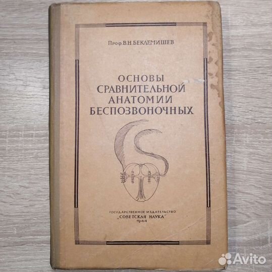 Основы сравнительной анатомии беспозвоночных