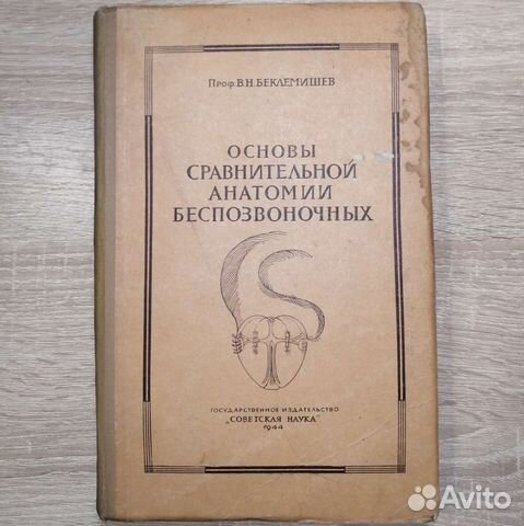 Основы сравнительной анатомии беспозвоночных