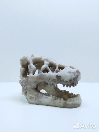 Стильное оформление аквариума - Аквасалон Дискус