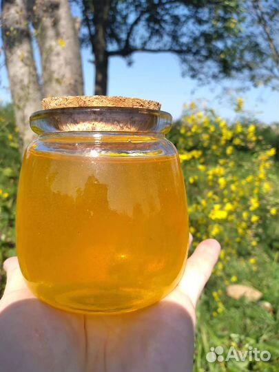 Мёд луговой-разнотравье 2023г