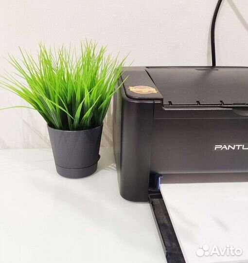 Искусственная трава осока